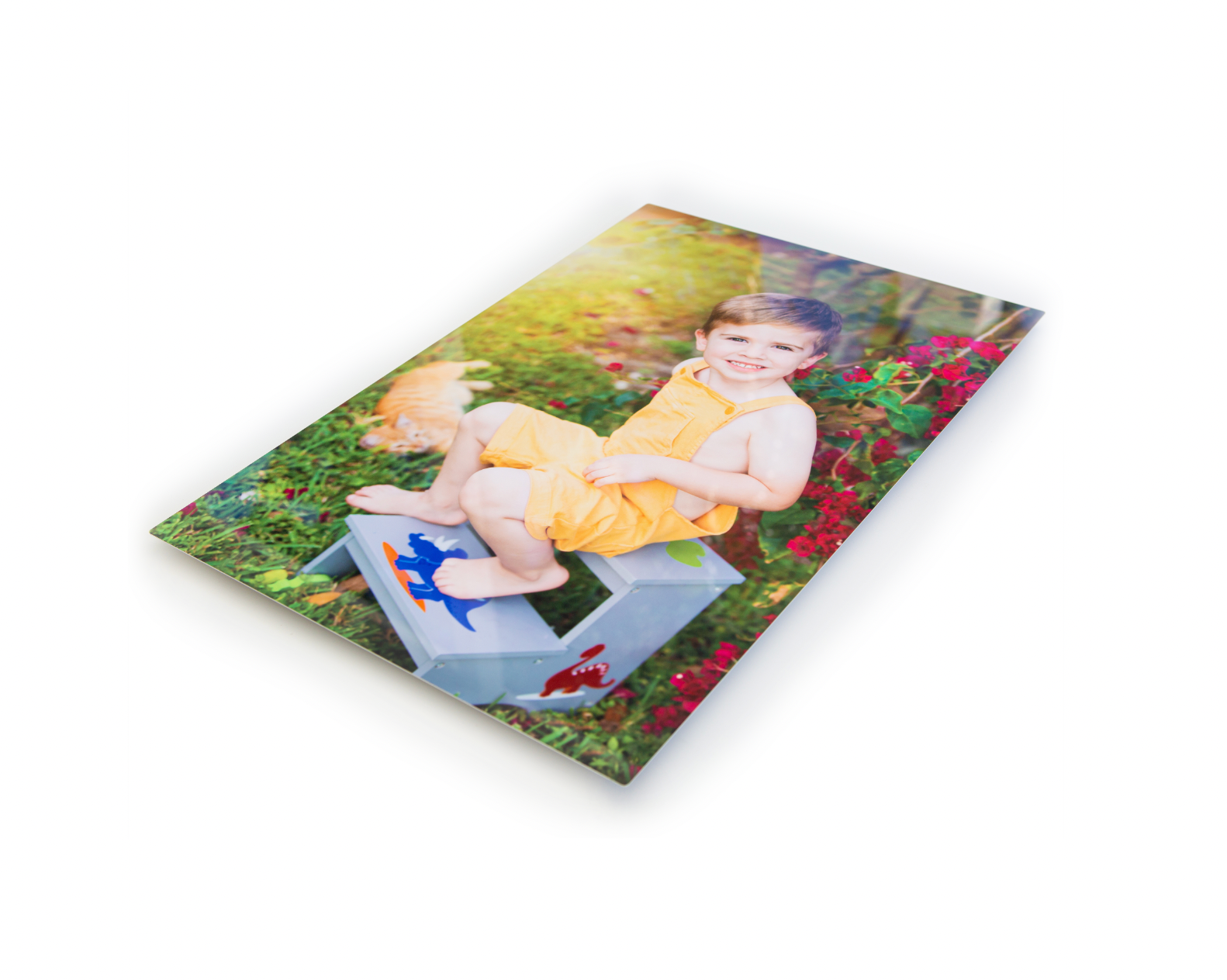 Metal Print: "Vibrant metal print, showcasing your images with brilliance and durability